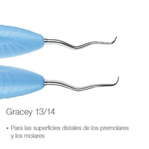 LM - Cureta Gracey 13/14