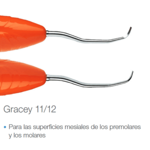 LM - Cureta Gracey 11/12