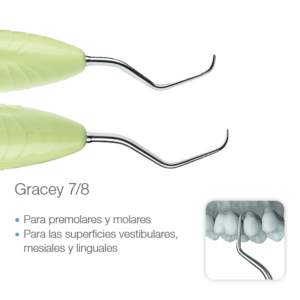 LM - Cureta Gracey 7/8