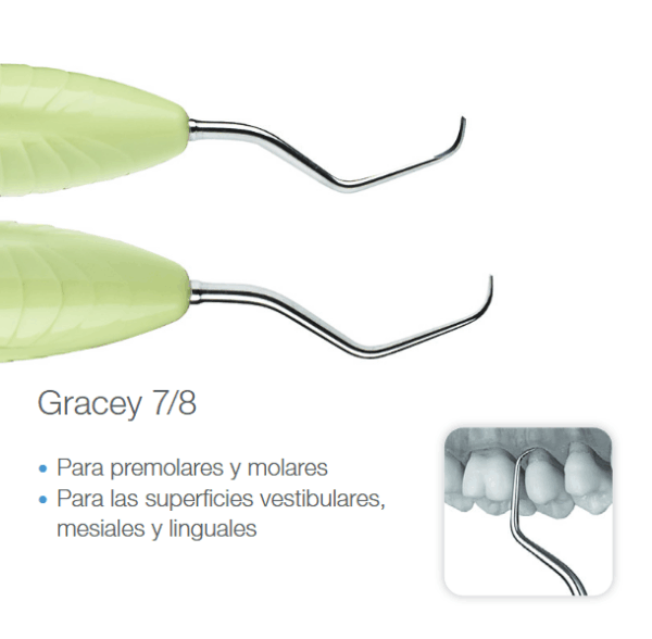 LM - Cureta Gracey 7/8